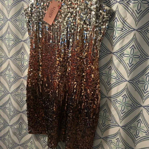NWT Sequin Ombre Sleeveless Dress w/Perfectly in Tact Embellishments and Lined - Picture 9 of 16